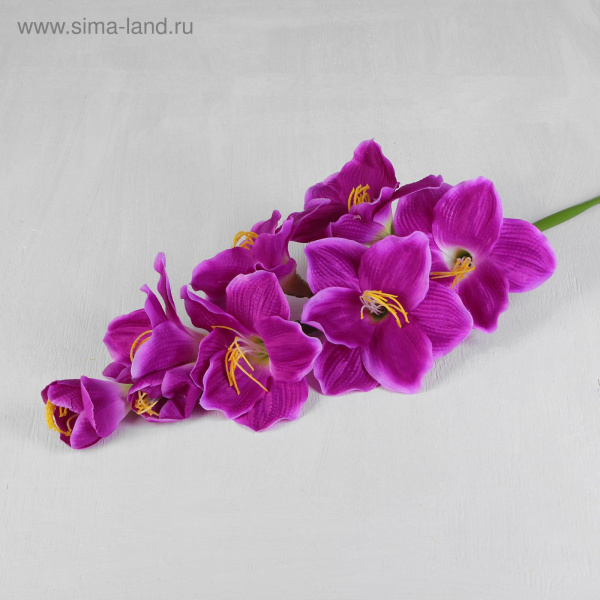 Цветок "Гладиолус Арабиан" 12*96см, фиолетовый   2589947