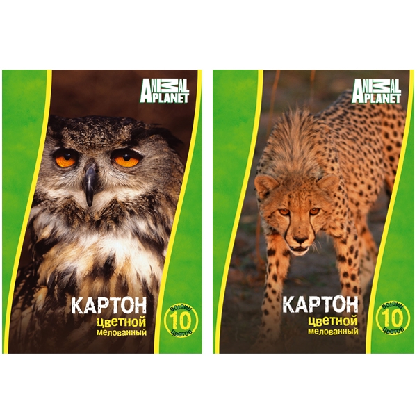 Набор цветного мелованного картона ACTION! ANIMAL PLANET А4 10цв,10л