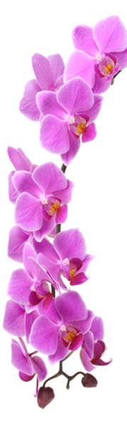 Магнит на холодильник 600*2000*0,4мм  №13