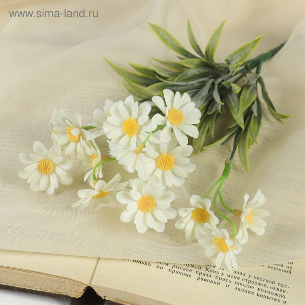 Букет "Ромашка белая" 26см /1840844