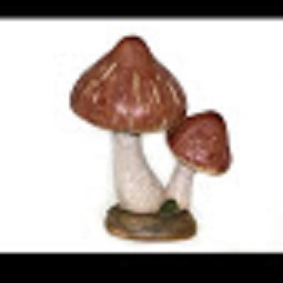 Два гриба /036812