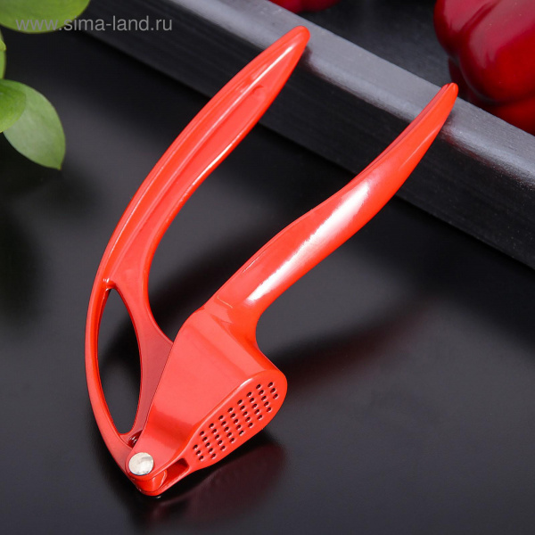 Пресс для чеснока "Краски" 16см /1372220