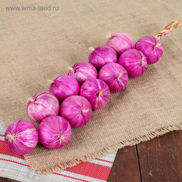 Муляж связка лука 12 луковиц, микс 1108350