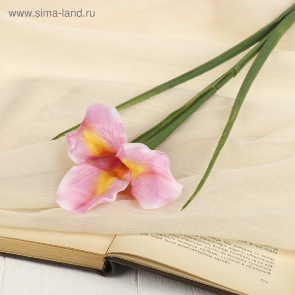 Цветок искусственный "Ирис Звездопад" 50см розовый /2248812