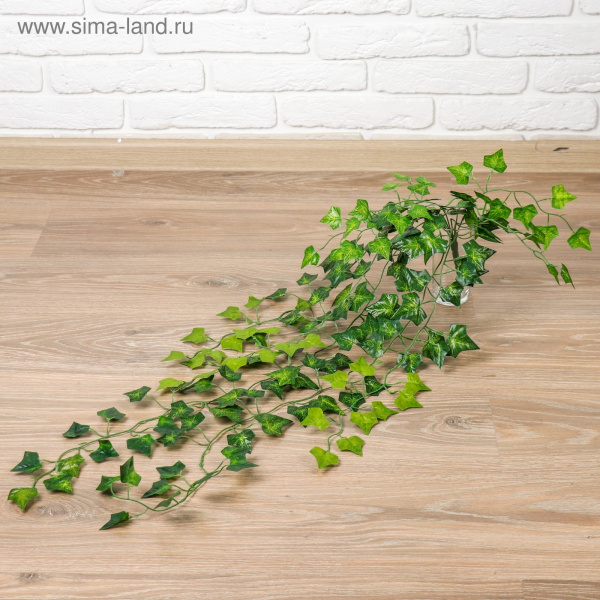 Лиана "Листья плюща" 80см /1653767