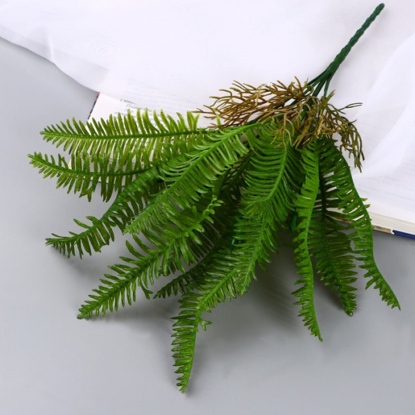 Букет "Нефролепсис экстра" 29 см, микс /10084602