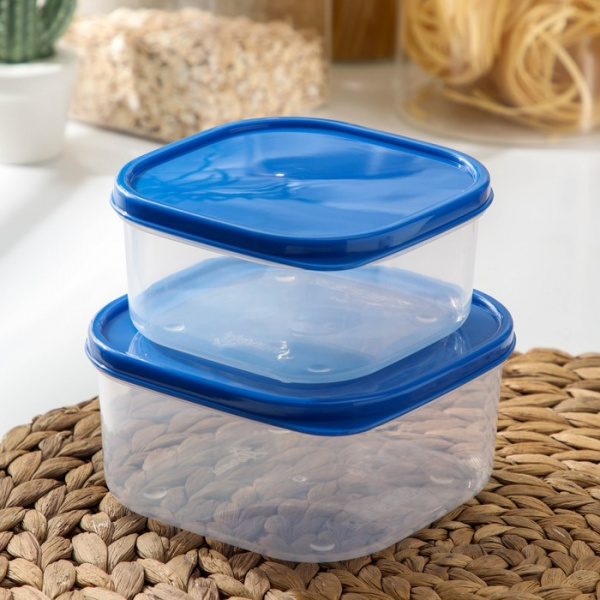 Набор контейнеров пищевых, квадратных, 2 шт: 450 мл, 700 мл, цвет голубой /1333874