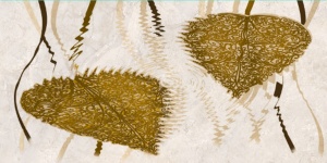 Декор  Восхищение 40х20 /375-3