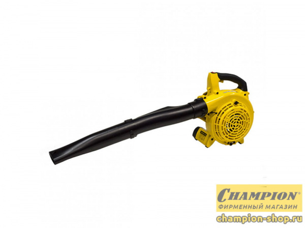 Отпариватель ручной Tefal DT8250E1 черный