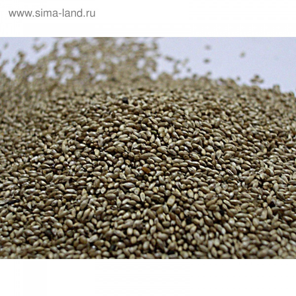 Семена тимофеевки