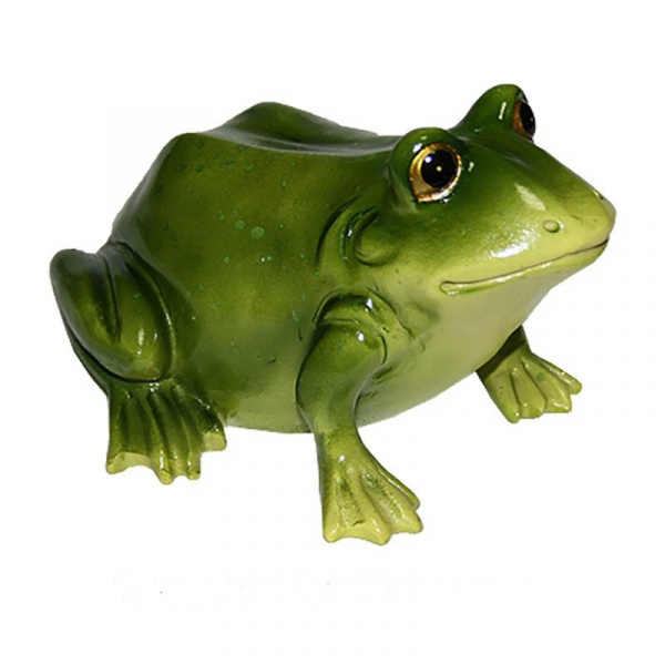 Лягушка средняя /035901