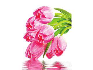 Фотообои DECOCODE Тюльпаны над водой 2х2,8