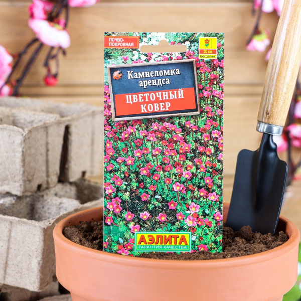 Семена цветов Камнеломка "Цветочный ковер", 0,02 г /1314058