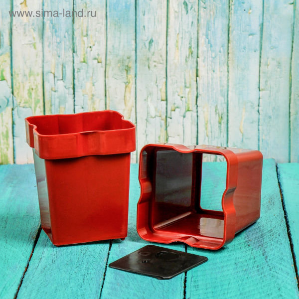 Набор для рассады: стакан 220мл 6,6*6,5*7см 10 шт./2889918