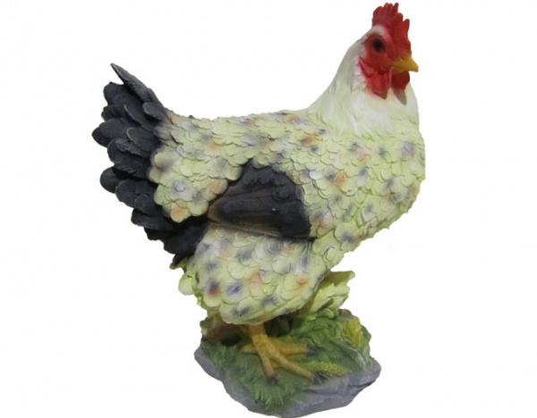 Курица кубанская Н-42