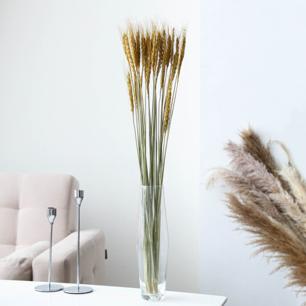 Сухой колос пшеницы, набор 30 шт., цвет золотой /5271778