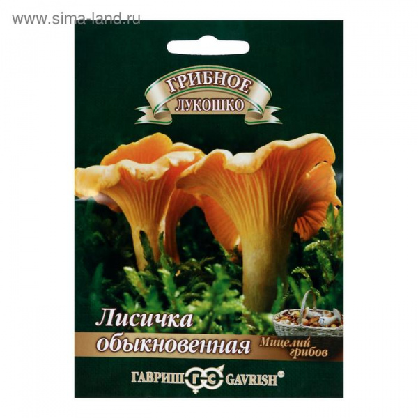 Семена Мицелий "Лисички", на зерновом субстрате, 15 мл /1774107