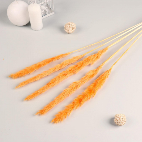 Декор сухоцвет "Кортадерия" 65 см, оранжевый /7081255