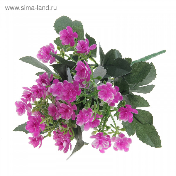 Букет Бегония 138565