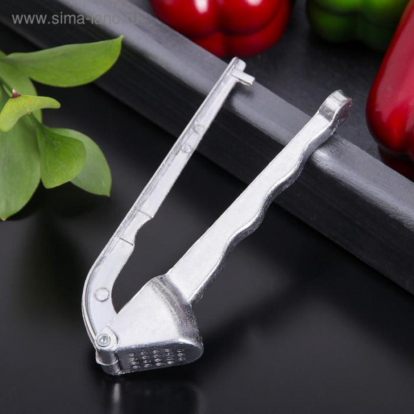 Пресс для чеснока Доляна «Классика», 14 см, цвет серебряный/651919