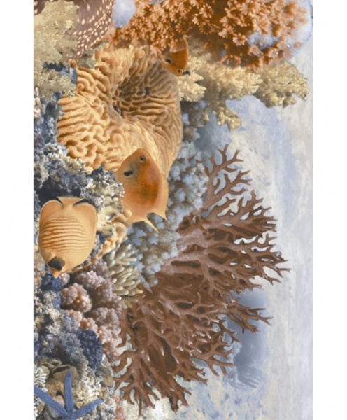 Декор 250х400 1C AGAT И33411