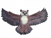 Навесная сова средняя