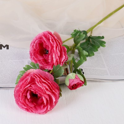 Букет "Пион волнистый" 30 см, микс   1653817