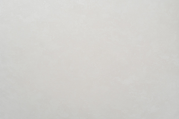 Обои Freedom Ялла фон 11092-02 НОВ