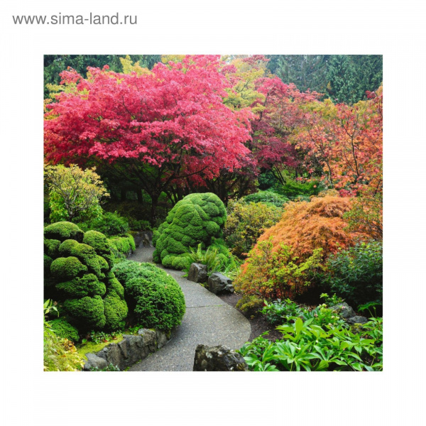 Фотообои DECOCODE Краски осени 3х2,8 31-0171-PG