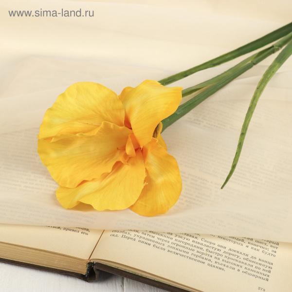 Цветок искусственный "Ирис Звездопад" 50см желтый /2248811