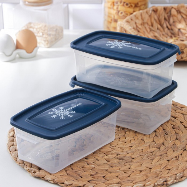 Набор прямоугольных контейнеров для замораживания продуктов «Морозко», 1 л , 3 шт, цвет МИКС/4357036