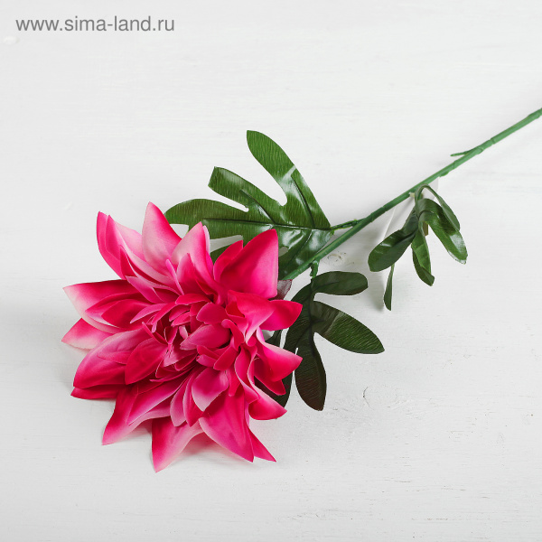 Цветы искусственные "Георгин парма" 15*62 см. сиреневый /2803591