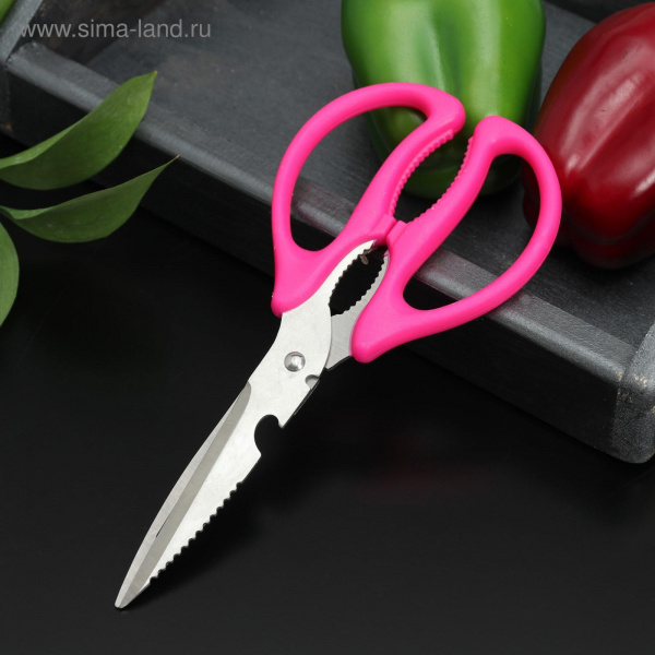 Ножницы кухонные «Базис», с открывалкой для бутылки, 21 см, цвет МИКС /1210646