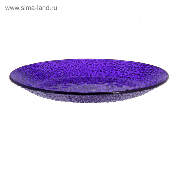 Тарелка d=20см фиолетовая плоская  2846592