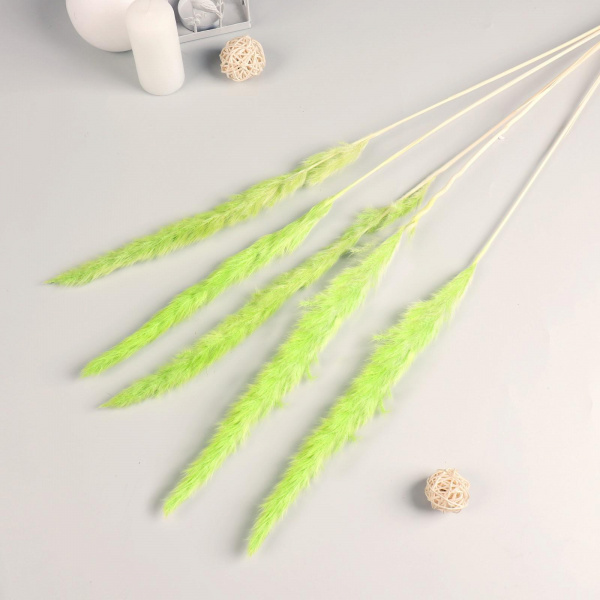 Декор сухоцвет "Кортадерия" 65 см, зелёный /7081261