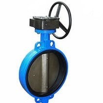 Затвор Ду-300 Ру16 ЗПД чуг. диск