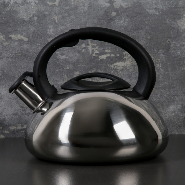 Чайник со свистком 2,8 л «Блеск» /4101877