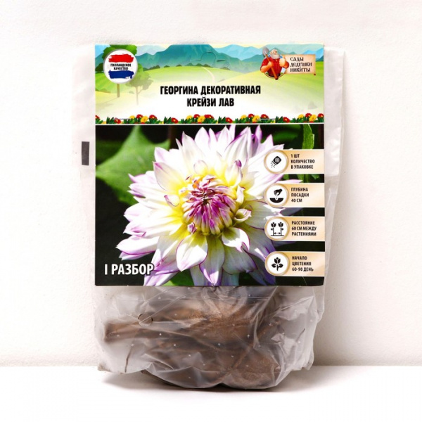 Георгина декоративная "Крейзи Лав", р-р I, 1 шт, Весна 2023/7558128