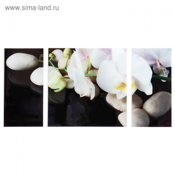 Картина модульная на стекле "Орхидеи" 2-25*50, 1-50*50 см, 100*50см/1145180