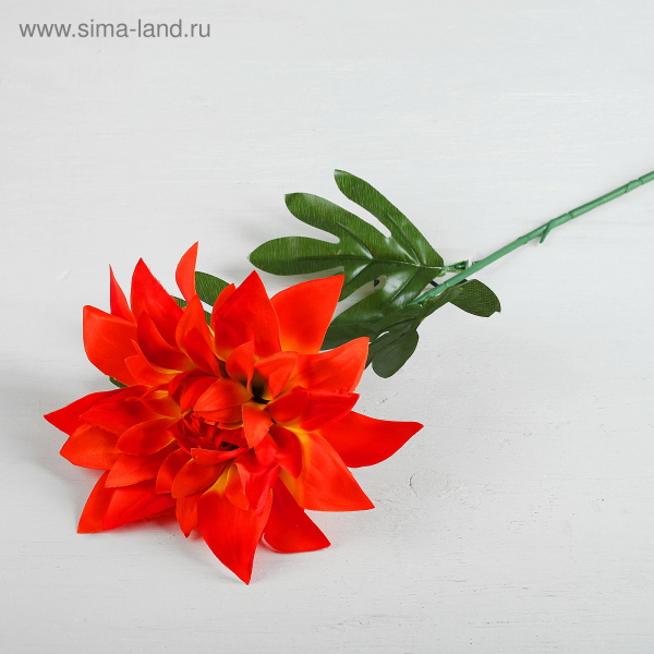 Цветы искусственные "Георгин парма" 15*62см оранжевый /2803593