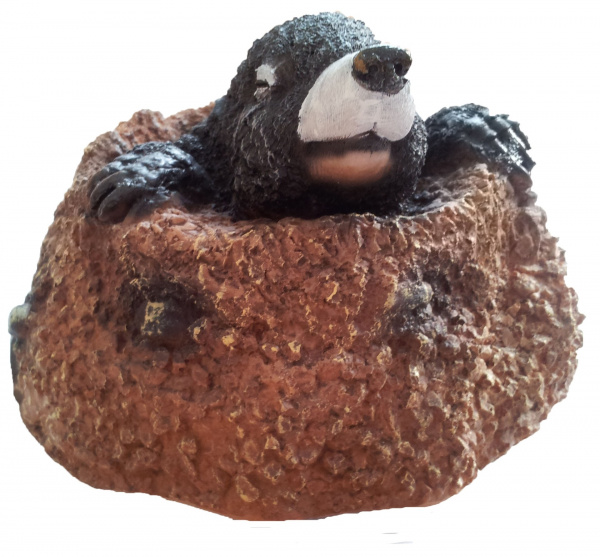 Крот из норки Н-12