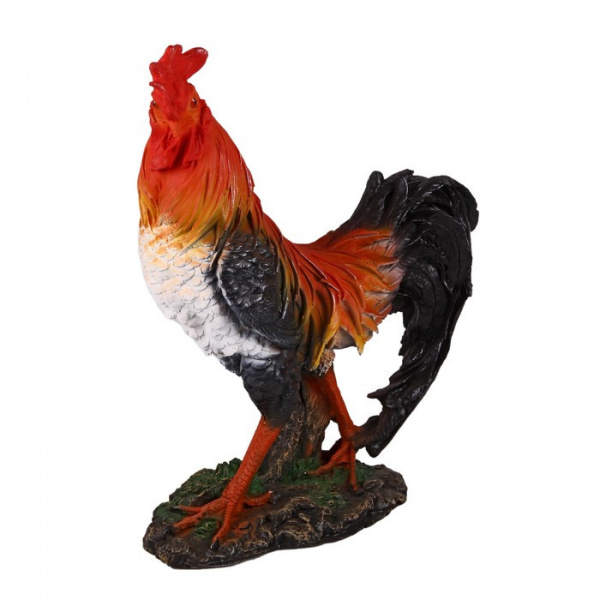 Петух с длинным хвостом Н-35