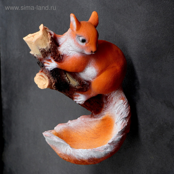 Белка на ветке /035722