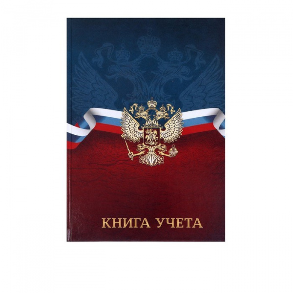 Книга учета, 96 листов, обложка картон 7БЦ, блок ГАЗЕТНЫЙ, клетка, РФ, сине-красный /7822578
