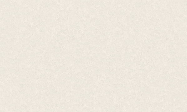 8963-17 (6) WallSecret Comfort Обои горячего тиснения на флизелиновой основе 1,06*10,05