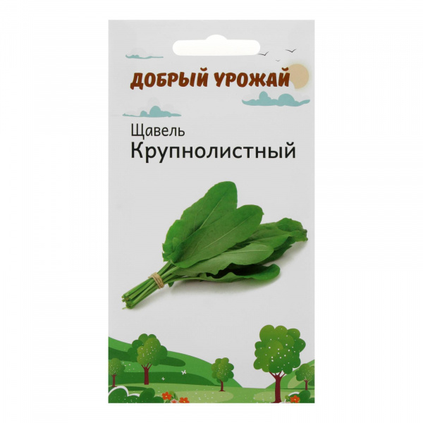 Семена Щавель Крупнолистный 1 гр /6252561