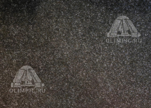 Иглопробивное покрытие "Практик" 4,0м черный (Doormat Practic Black)