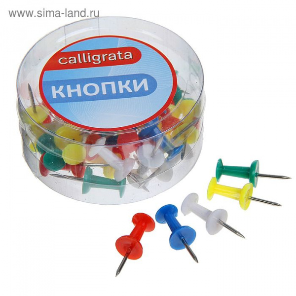 Кнопки силовые, цветные, 40 шт., в пластиковой коробке, CALLIGRATA/1293694