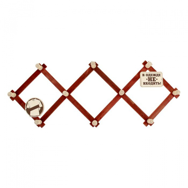 Вешалка банная 10 крючков "В одежде не входить" 1052915