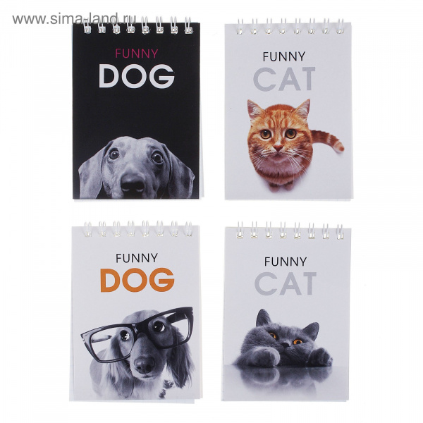 Блокнот А7 40л "Кто здесь?"  668435